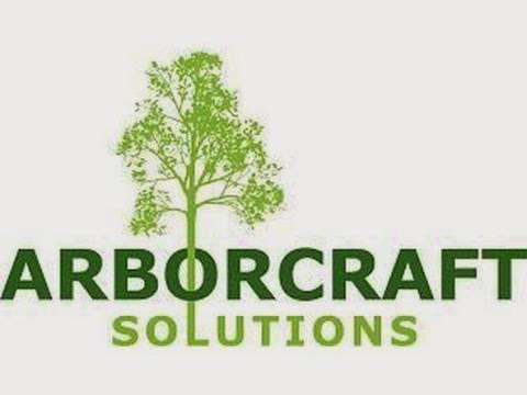 Arborcraft Solutions - Cardiff Tree Surgeon photo
